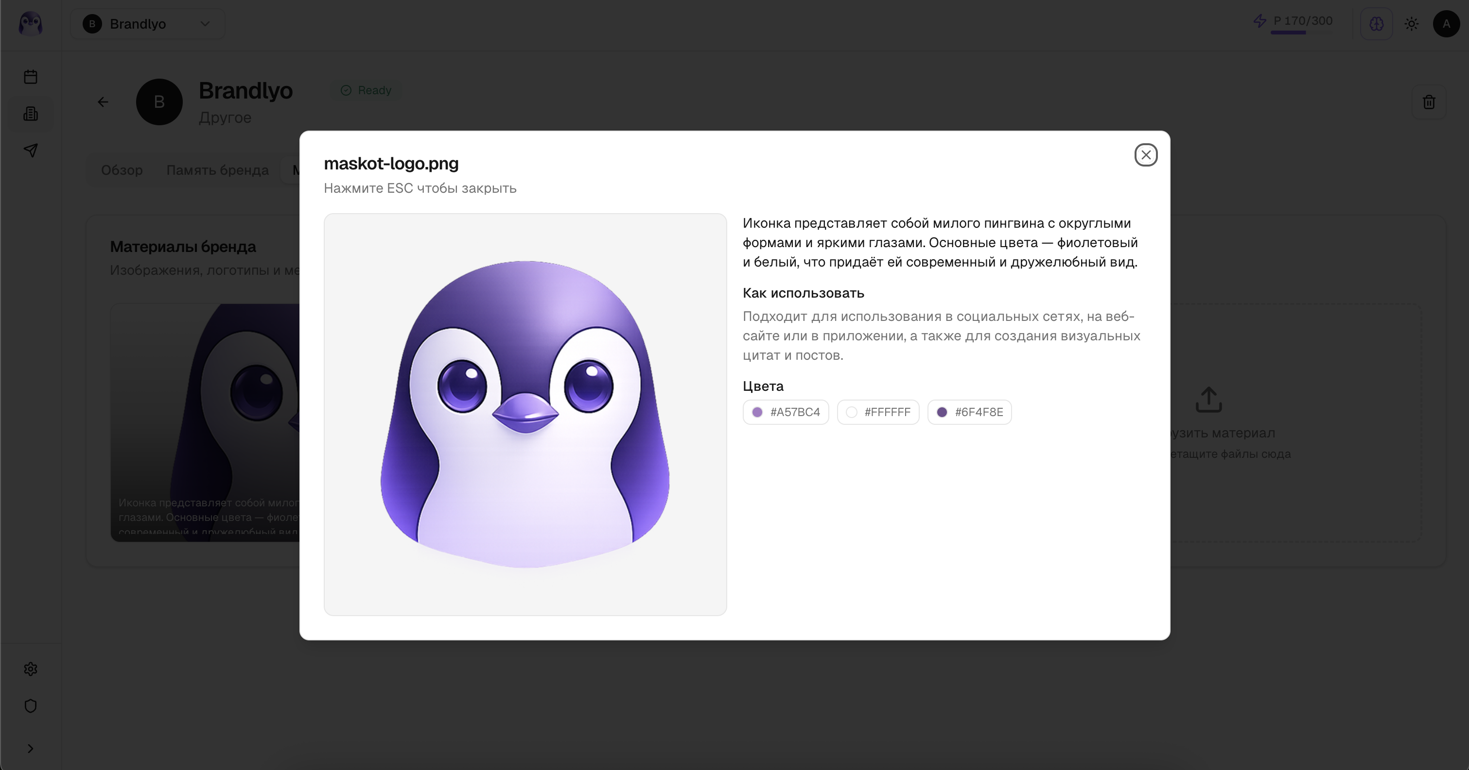 Брендовые ассеты — маскот, логотип, фирменные цвета